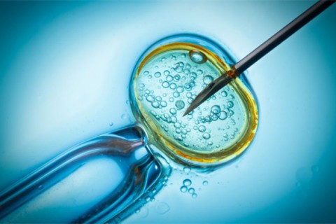 http://foshan.qqkaixin.com/post/199.html|佛山供卵助孕